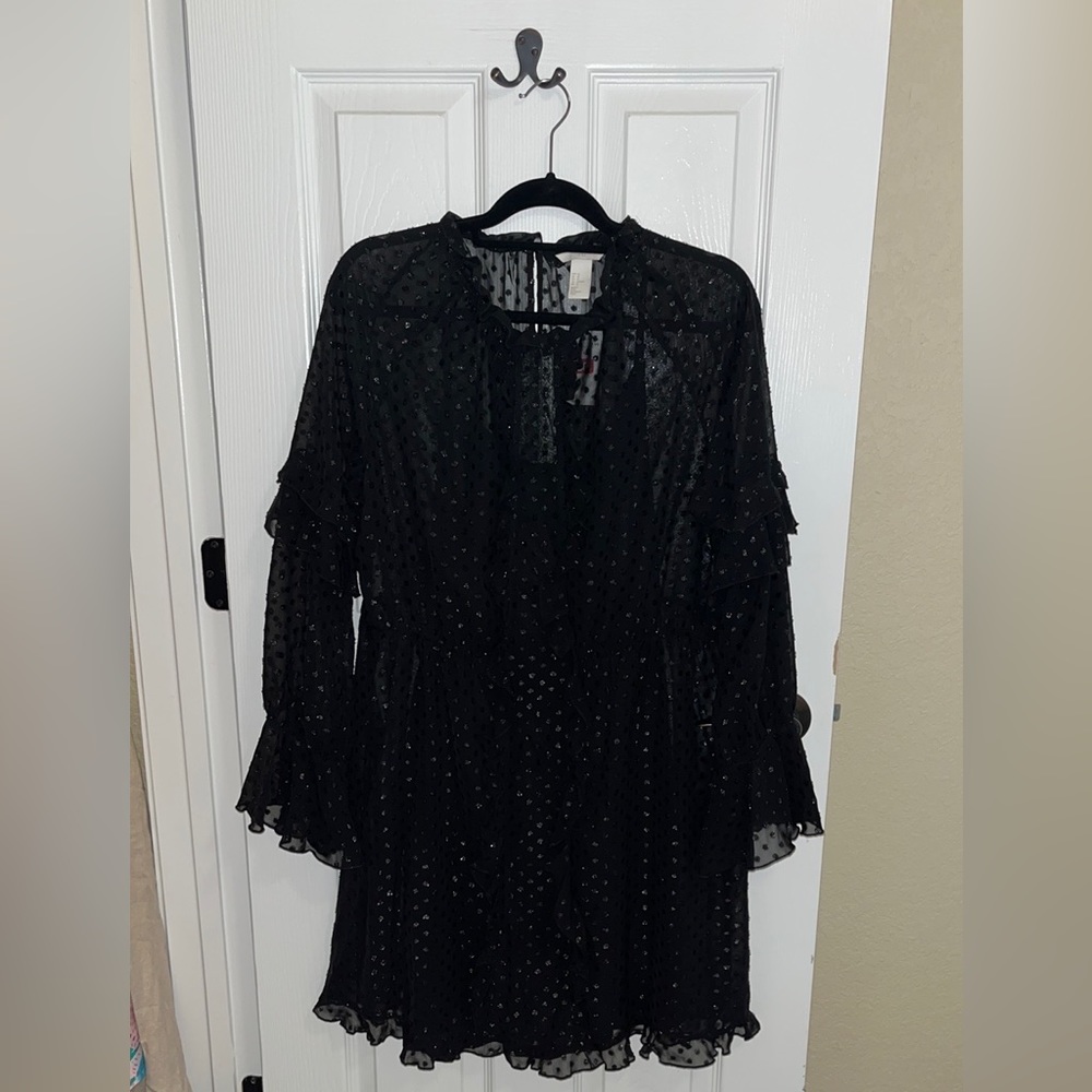 New with tags H&M ruffle chiffon shift dress